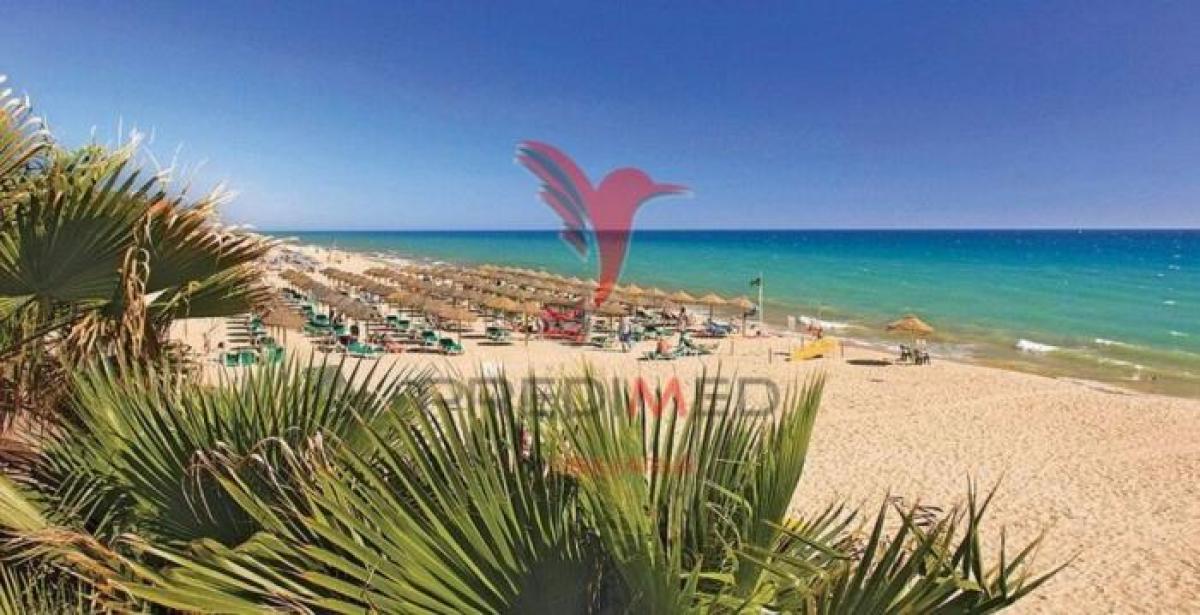 3 غرف نوم شقة في Loule, Portugal رقم 732