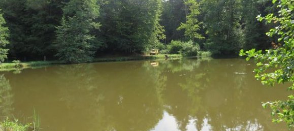  قطعة أرض في Haute-Saone, France 4560متر مربع رقم 301156 13