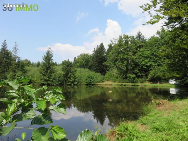  قطعة أرض في Haute-Saone, France 4560متر مربع رقم 301156