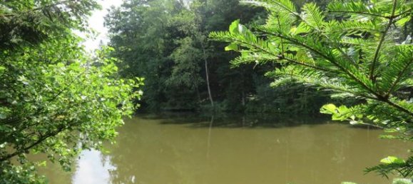  قطعة أرض في Haute-Saone, France 4560متر مربع رقم 301156 4