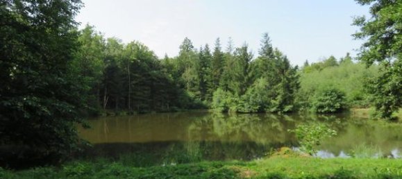  قطعة أرض في Haute-Saone, France 4560متر مربع رقم 301156 9