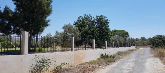 5 bedrooms Villa in Pentakomo, Cyprus No. 15257 15