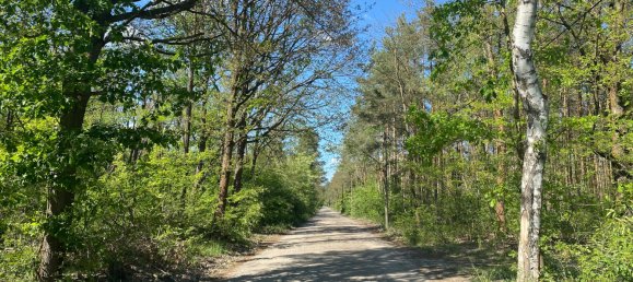 4غرفة بنغالو في Elbe-Elster, Germany رقم 39561 4