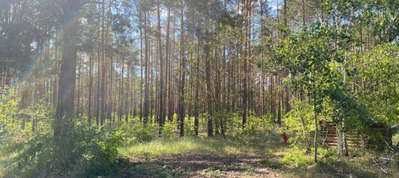 4غرفة بنغالو في Elbe-Elster, Germany رقم 39561 5