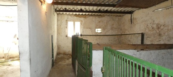 4غرفة بنغالو في Elbe-Elster, Germany رقم 39561 12