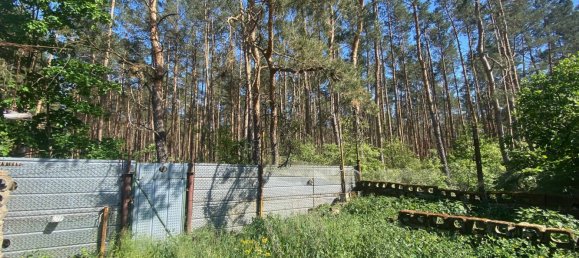 4غرفة بنغالو في Elbe-Elster, Germany رقم 39561 14