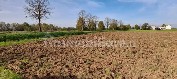 Terreno en Roverbella, Italy 55540 m² No. 347569 2