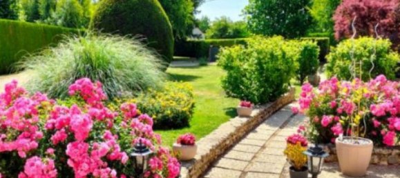 3 chambres Maison à Châteaudun, France No. 255297 16