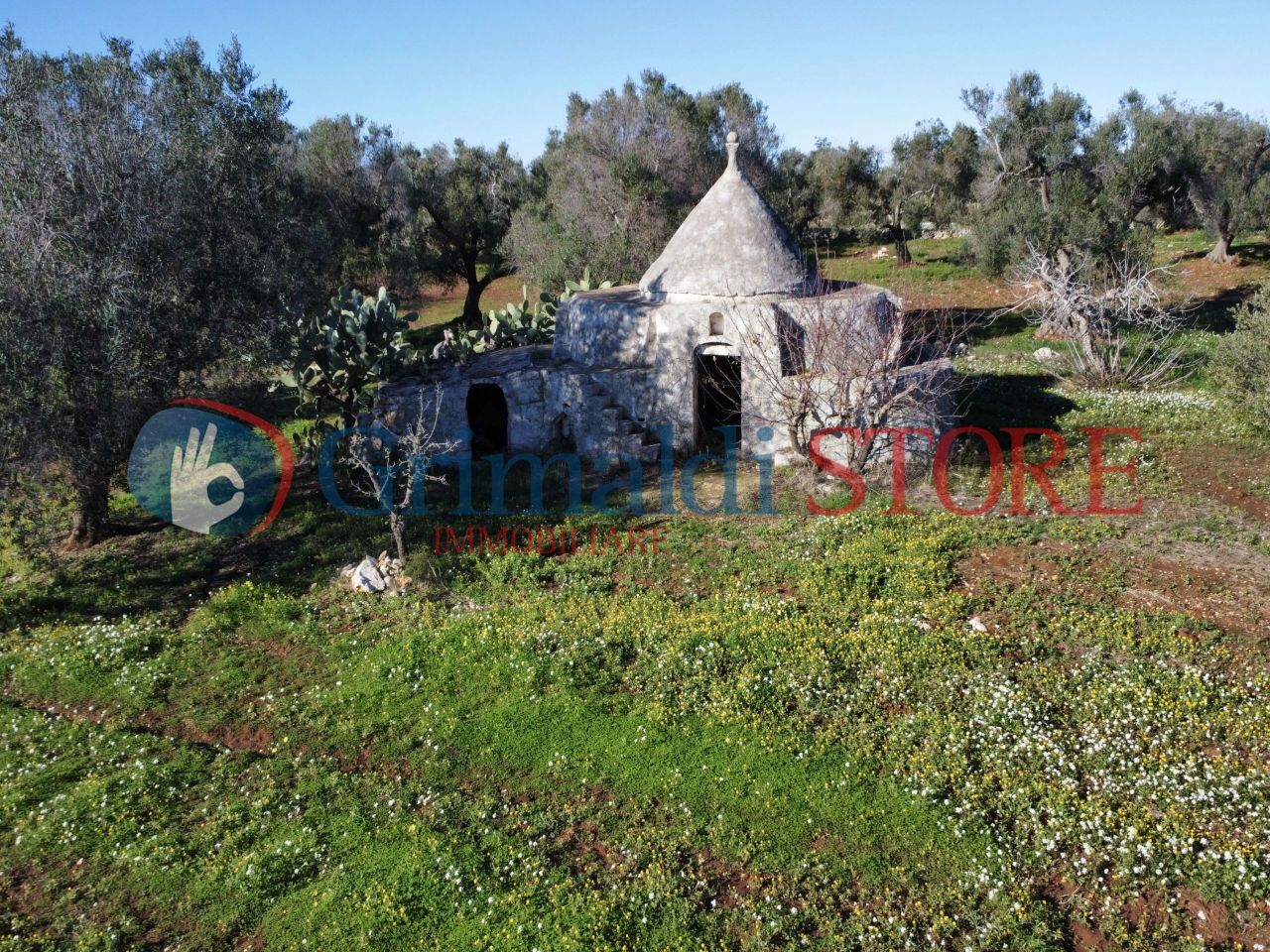 2-Zimmer Haus in Carovigno, Italy, Nr. 56914