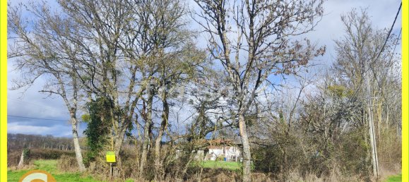 Grundstück in Menetou-Couture, France, Nr. 85726 7