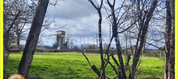 Grundstück in Menetou-Couture, France, Nr. 85726 3