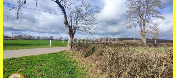 Grundstück in Menetou-Couture, France, Nr. 85726 6