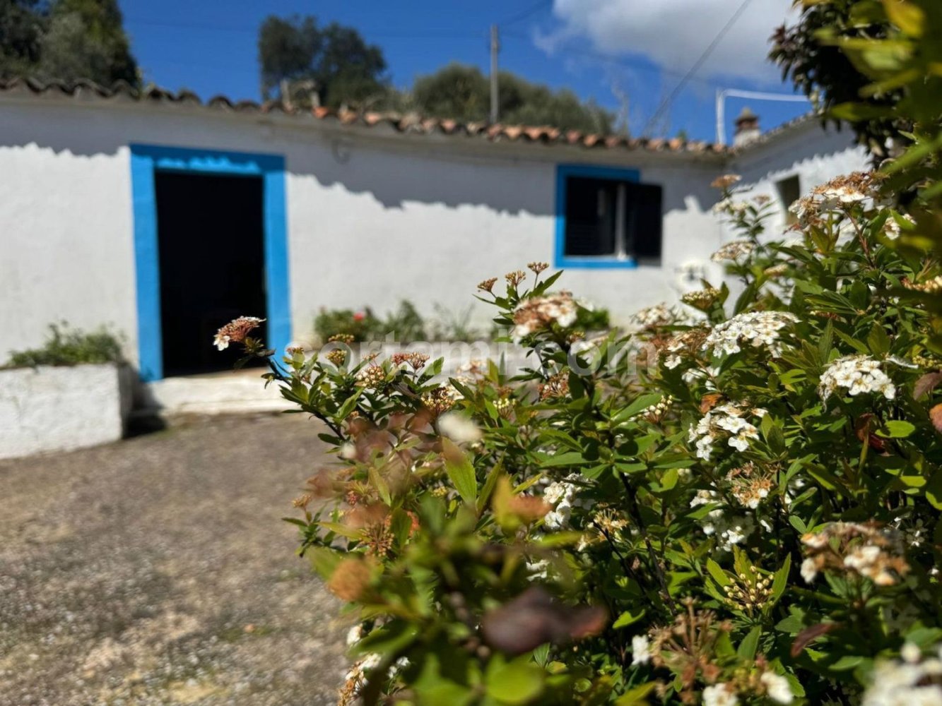 2 غرف نوم منزل في Sao Bras de Alportel, Portugal رقم 93347