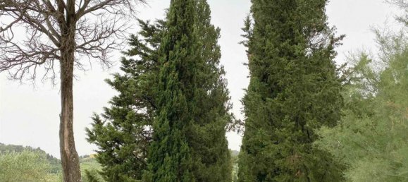 2 bedrooms Apartment in Rosignano Marittimo, Italy No. 1390 3