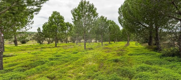 6500m² Land in Cabecao, Portugal No. 79861 9