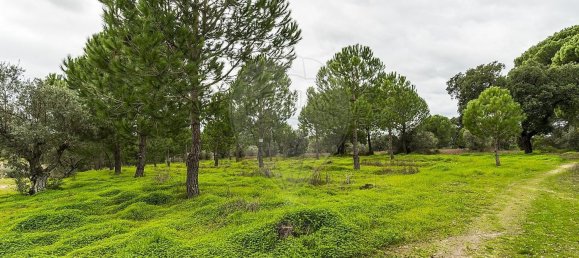 6500m² Land in Cabecao, Portugal No. 79861 7