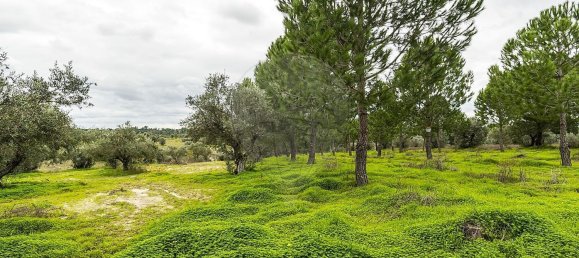 6500m² Land in Cabecao, Portugal No. 79861 6