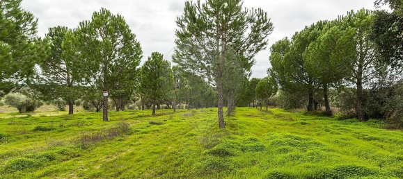 6500m² Land in Cabecao, Portugal No. 79861 11