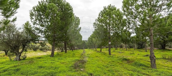 6500m² Land in Cabecao, Portugal No. 79861 8