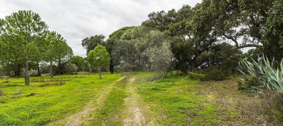 6500m² Land in Cabecao, Portugal No. 79861 5