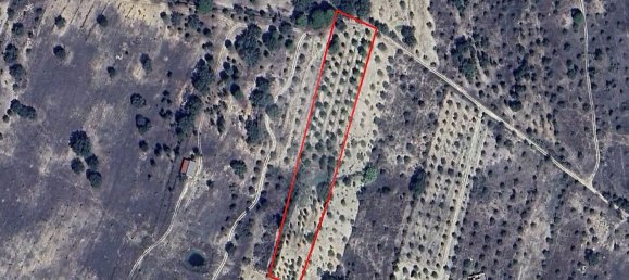 6500m² Land in Cabecao, Portugal No. 79861 4