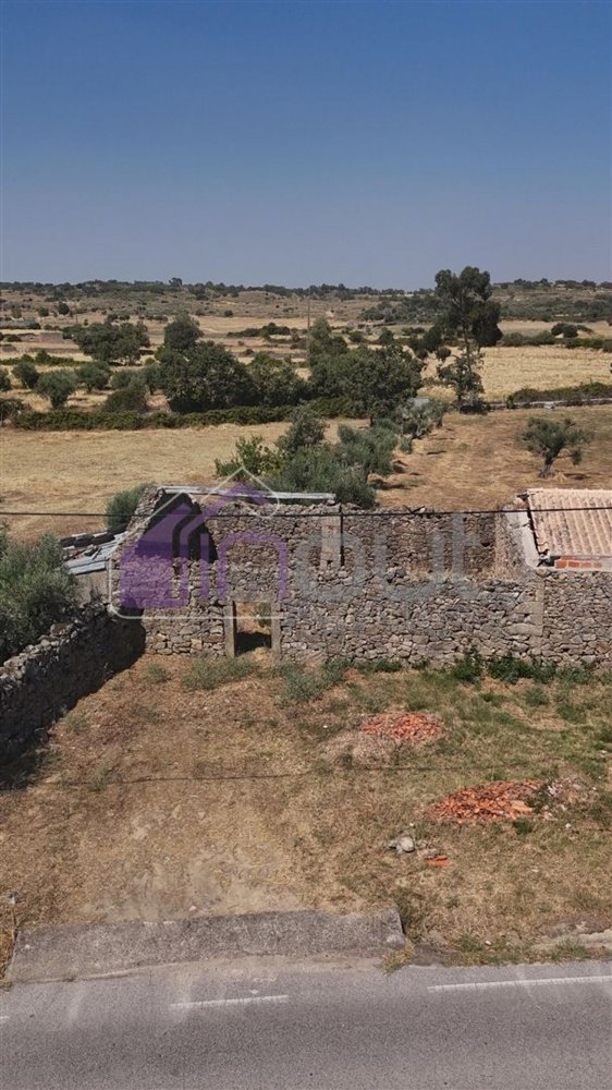  Land in Oledo, Portugal No. 249728