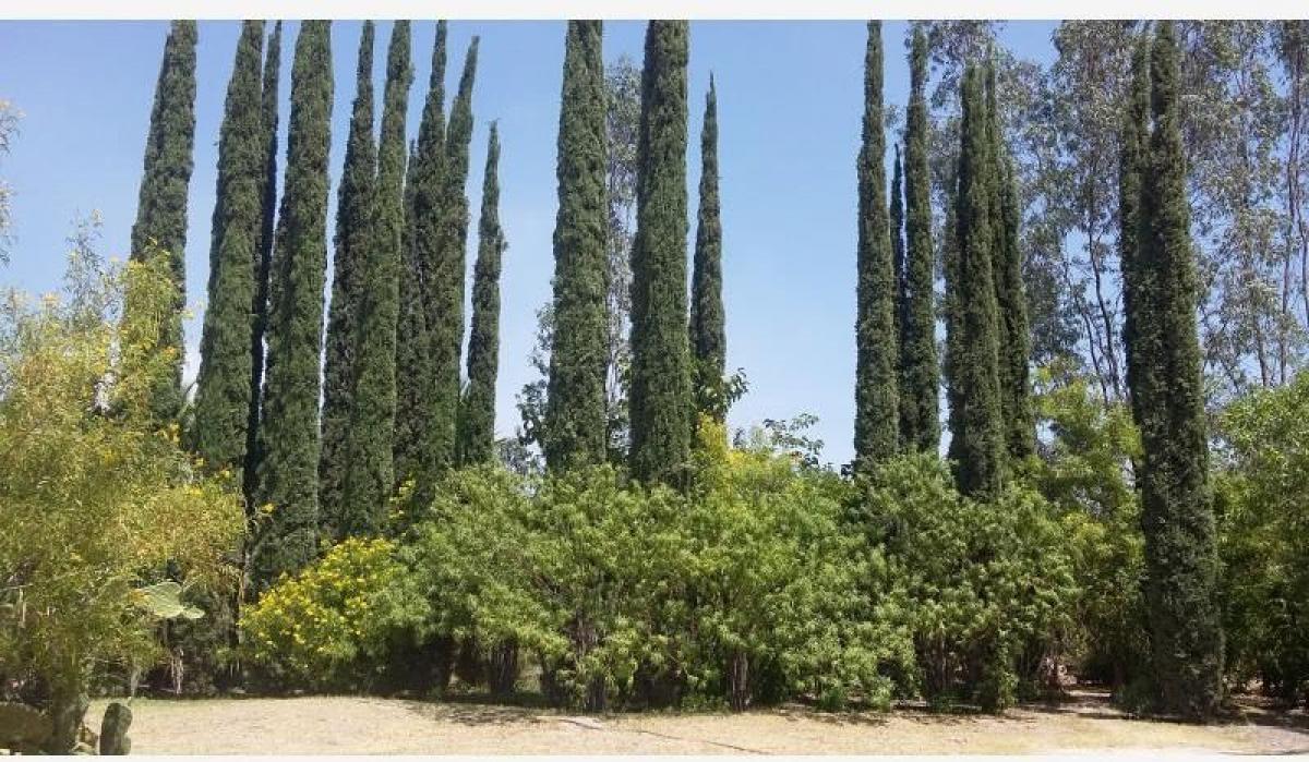 3 bedrooms House in Ciudad Lerdo, Mexico No. 187101