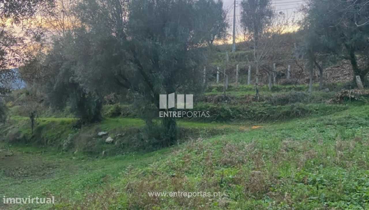3580m² Land in Ponte de Lima, Portugal No. 224340