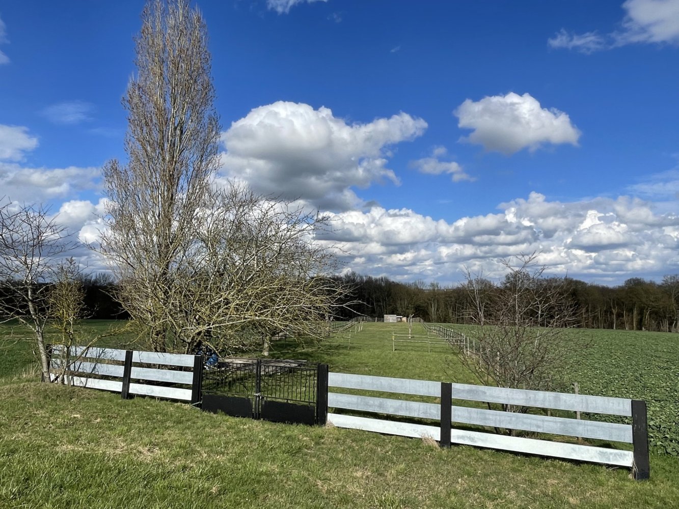 Land in Villeneuve-la-Lionne, France No. 94906