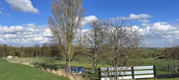  Land in Villeneuve-la-Lionne, France No. 94906 4