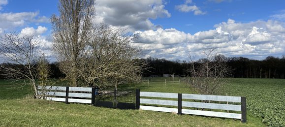  Land in Villeneuve-la-Lionne, France No. 94906 2