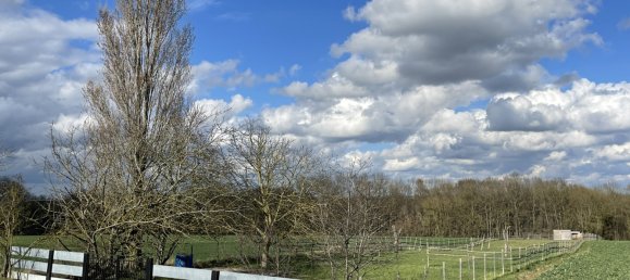  Land in Villeneuve-la-Lionne, France No. 94906 3