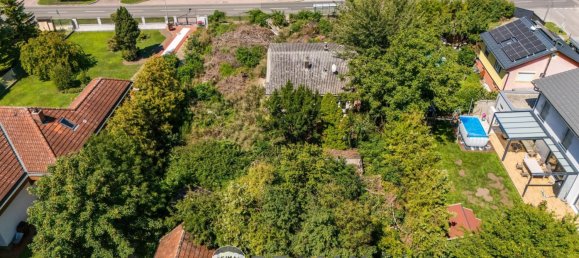 Terreno en Ganserndorf, Austria No. 222981 4