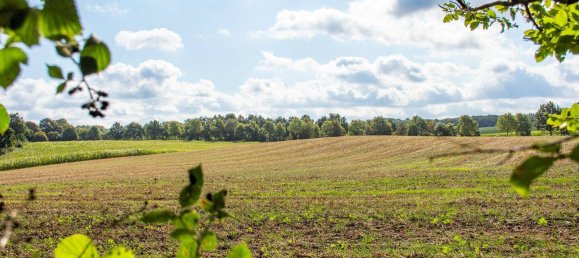 5 غرف نوم منزل في Plon, Germany رقم 295465 27