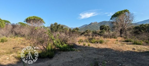  قطعة أرض في Saint-Andre, France 8038متر مربع رقم 279144 4