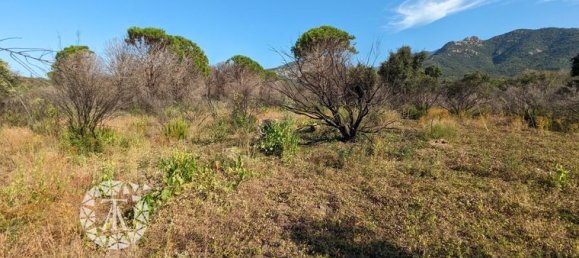  قطعة أرض في Saint-Andre, France 8038متر مربع رقم 279144 5