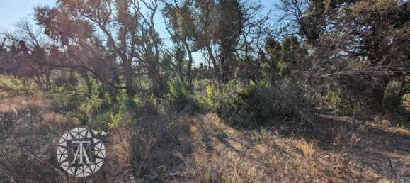  قطعة أرض في Saint-Andre, France 8038متر مربع رقم 279144 3