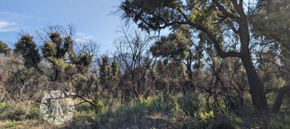  قطعة أرض في Saint-Andre, France 8038متر مربع رقم 279144 2