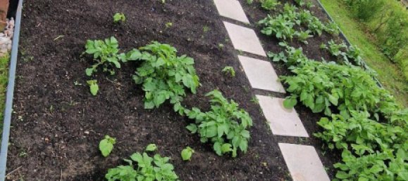 Terrain à Rostock, Germany No. 350370 9