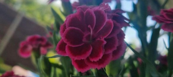 Terrain à Rostock, Germany No. 350370 2