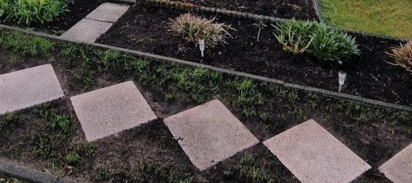 Terrain à Rostock, Germany No. 350370 14