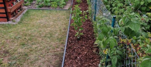 Terrain à Rostock, Germany No. 350370 12