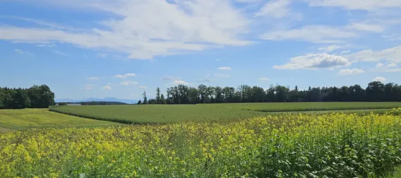 6 غرف نوم منزل في Traunstein, Germany رقم 350847 16
