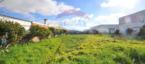 Gebäude in Cascais, Portugal 6420m², Nr. 72779 9