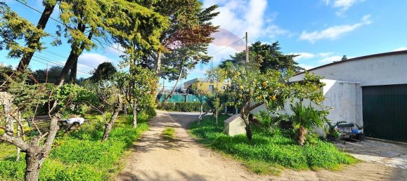 Gebäude in Cascais, Portugal 6420m², Nr. 72779 15