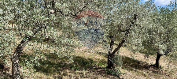 3 bedrooms Villa in Torricella in Sabina, Italy No. 352693 7