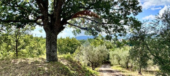 3 bedrooms Villa in Torricella in Sabina, Italy No. 352693 27