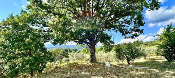 3 bedrooms Villa in Torricella in Sabina, Italy No. 352693 31