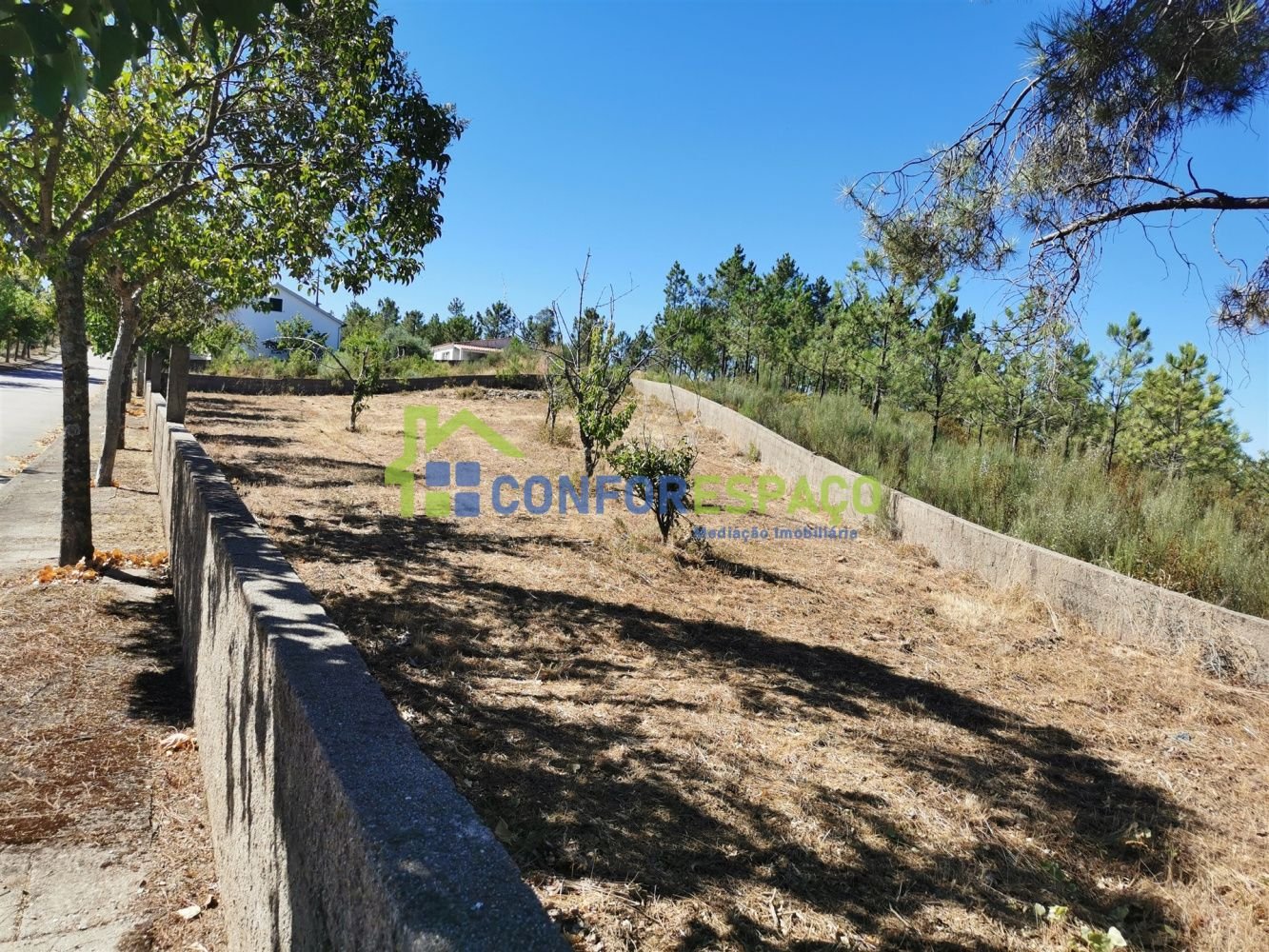  Land in Sao Vicente da Beira, Portugal No. 80179