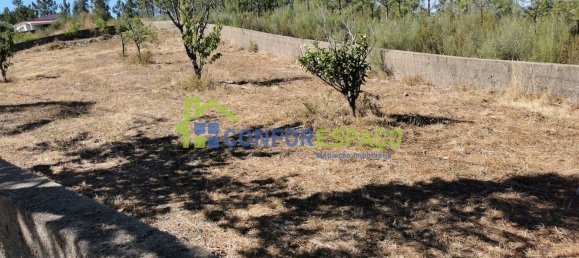  Land in Sao Vicente da Beira, Portugal No. 80179 3